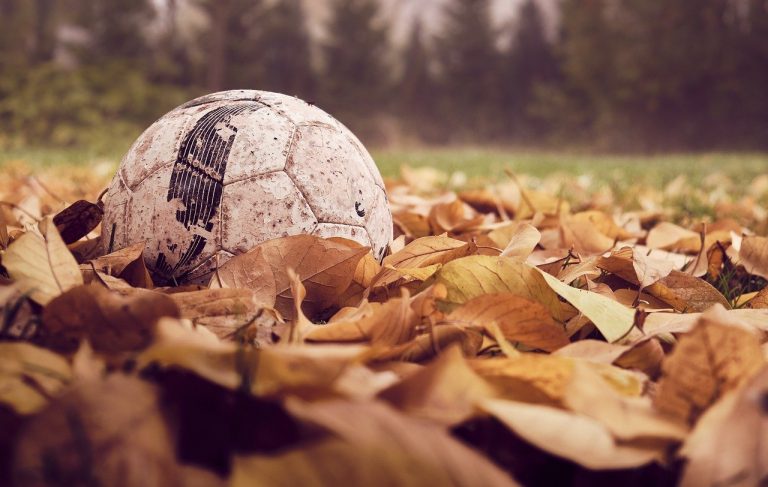 football autumn leaves 4586282