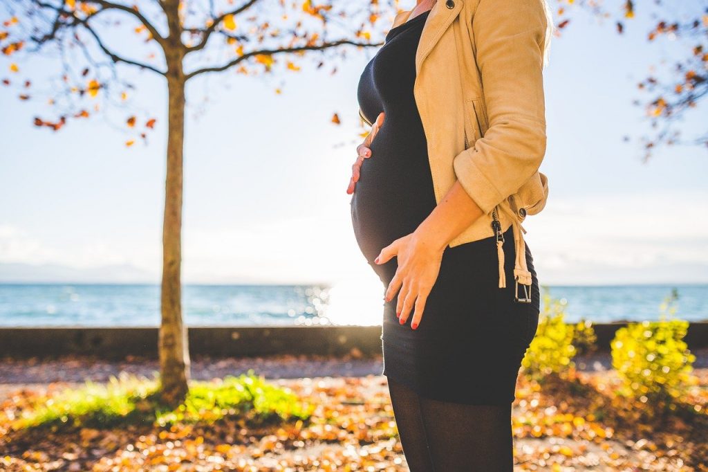 autumn fall maternity 1850044