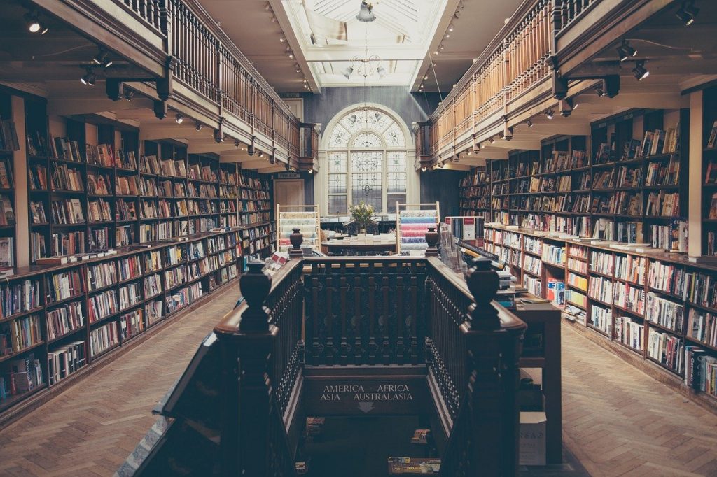 На развитие образования в Приморье потратят больше 4 library books education 869061