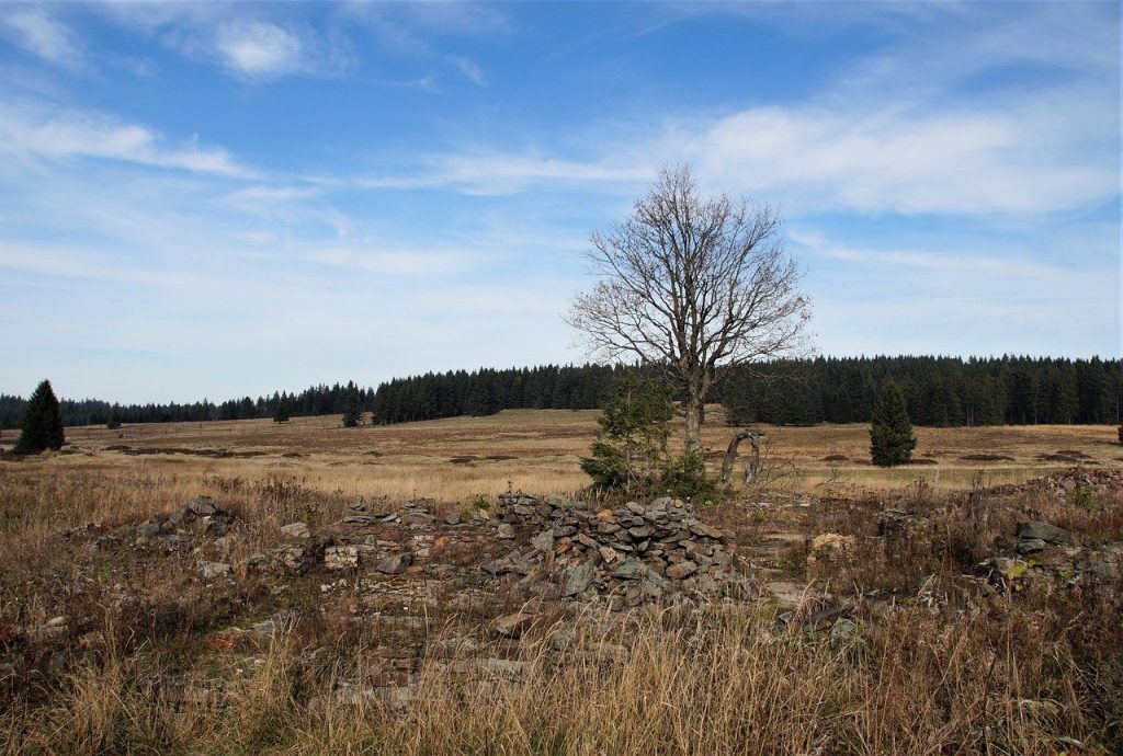 s gift bozidarske bog swamp 4586881
