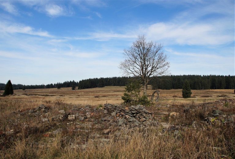 s gift bozidarske bog swamp 4586881