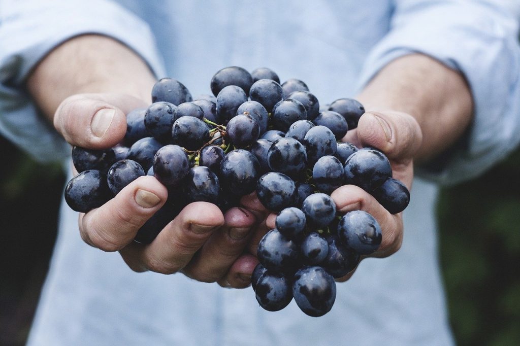 Минфин: нельзя называть вином напиток, сделанный не из винограда 6 grapes bunch hands 690230