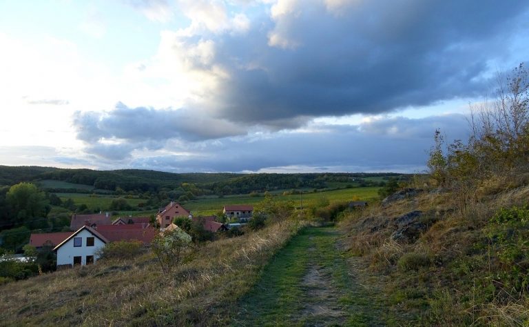 nature czechia podyji national park 3520735