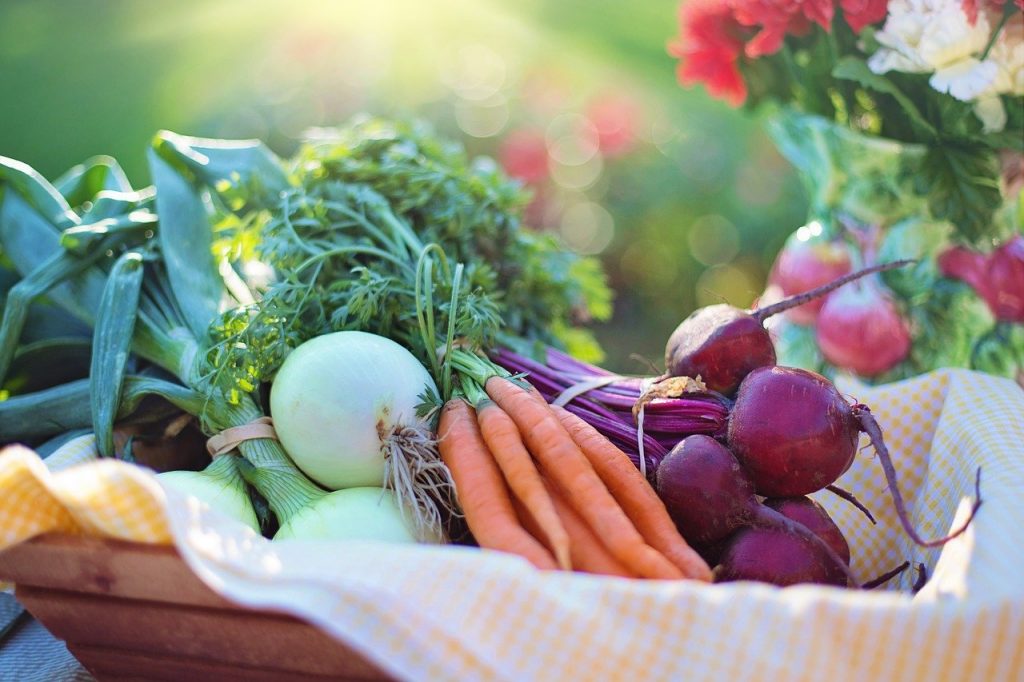 Изменения в порядке субсидирования сельхозпроизводителей 4 vegetables onions carrots 2485055