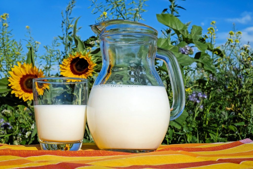 milk glass pitcher 2474993