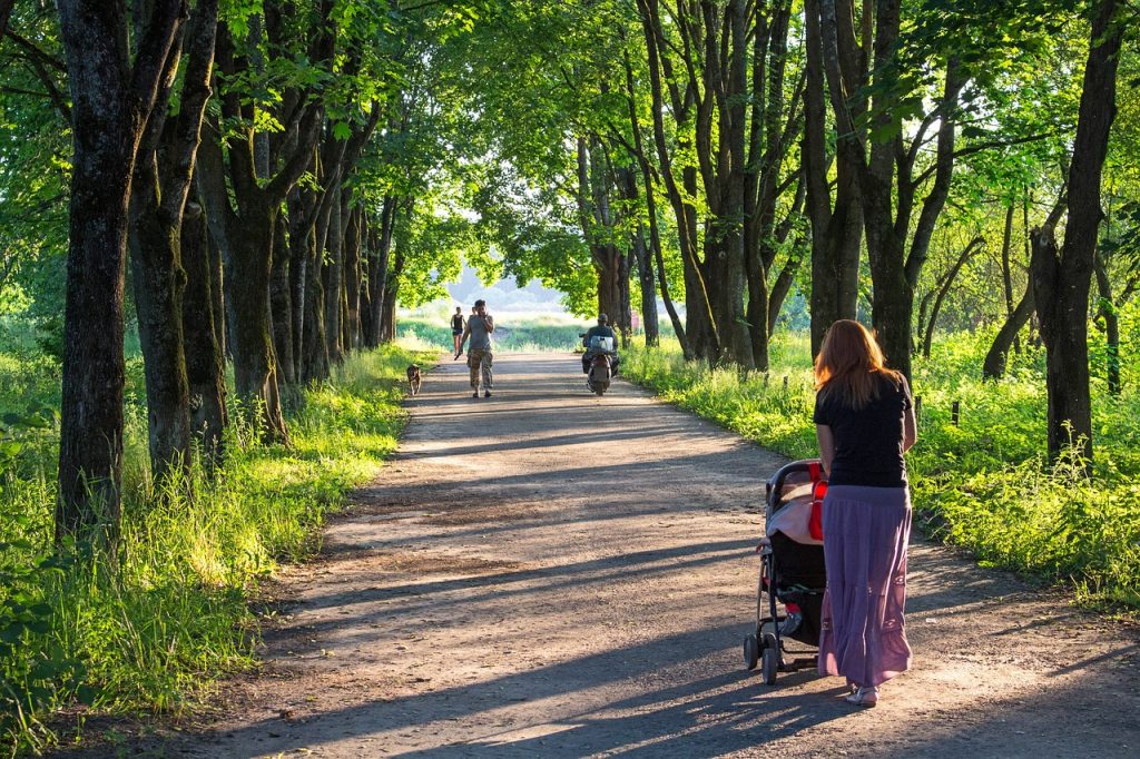 Скверу дали название, а остановку переименовали 1 alley linden trees river 1582731