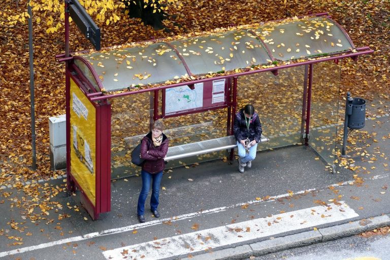 foliage autumn bus stop 4514886