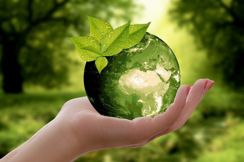 nature earth sustainability 3289812