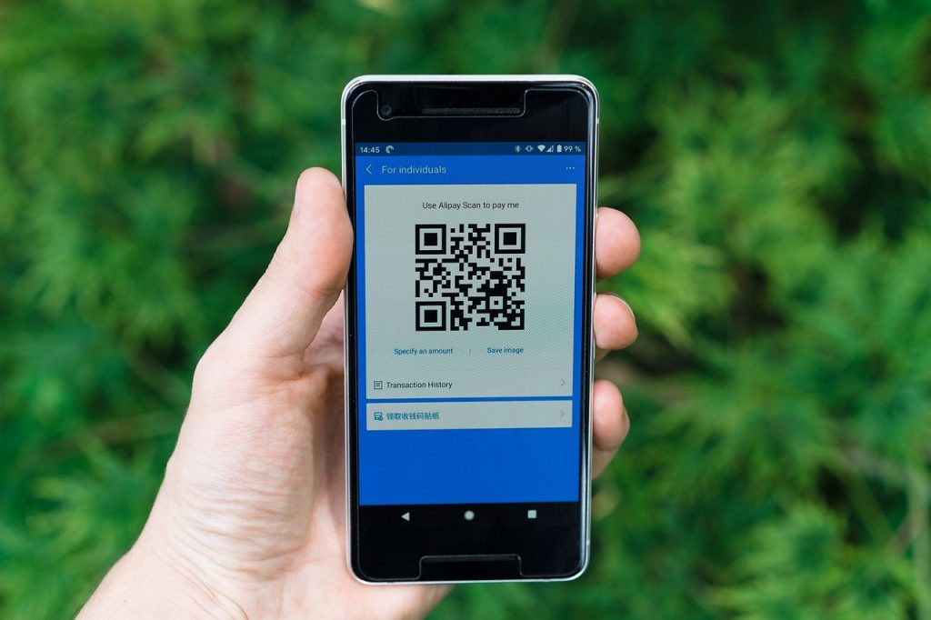 С 15 ноября в Приморье официально введут обязательные QR-коды 7 alipay, mobile payment, qrcode-5417261.jpg