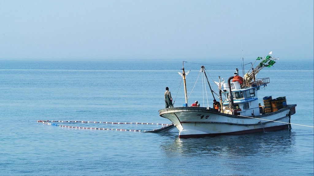 До конца года в Приморской подзоне запретили вылов некоторых биоресурсов 3 fisherman, gangneung, fishing-3523615.jpg