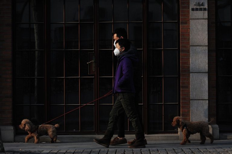 mask, walk, dog-4930050.jpg