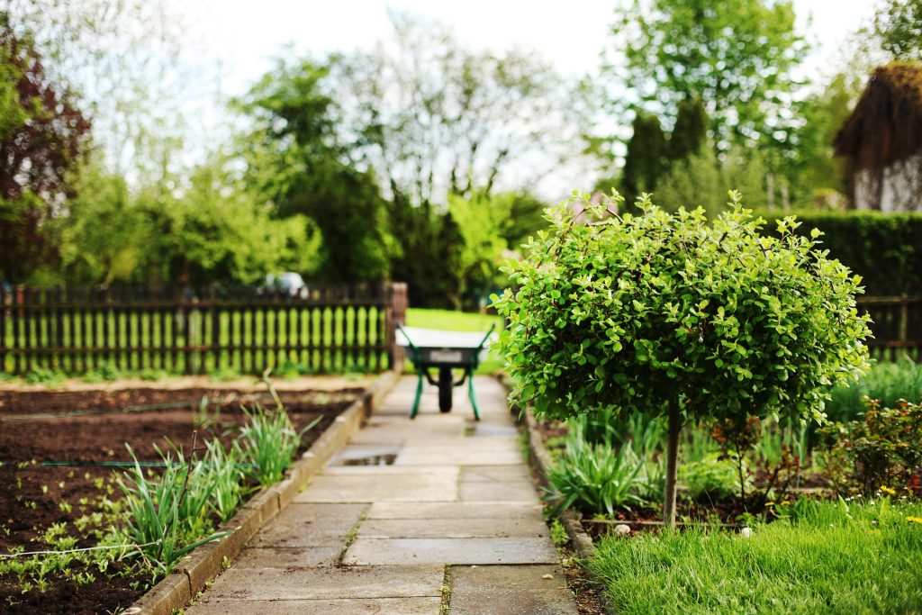 wheelbarrows ged