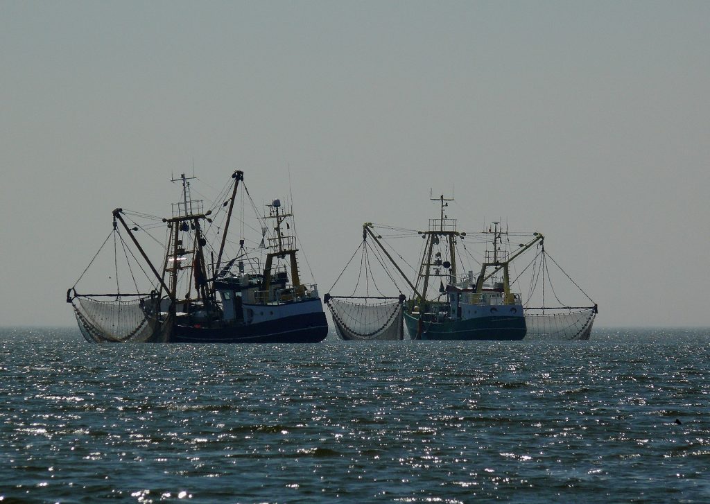 Минсельхоз определил предельно допустимый улов не морских биоресурсов 1 boats gcb