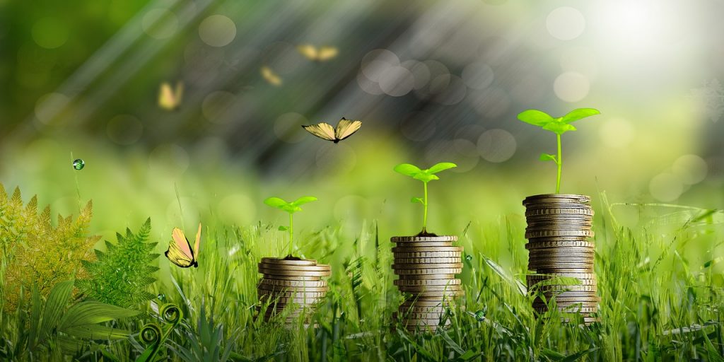 Прожиточный минимум в Приморье увеличили 2 money, plants, growth-6692564.jpg