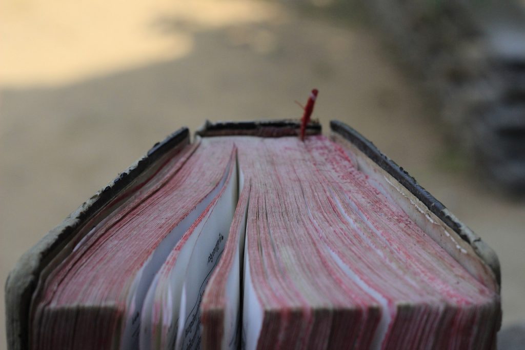 Актуализирован Порядок ведения Красной книги Приморского края 6 red bible, khmer bible, book-4905928.jpg