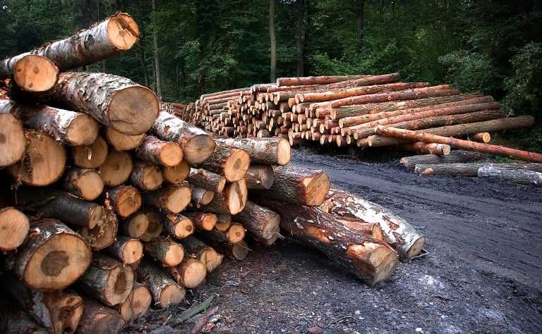 wood, cutting, bale-3662510.jpg