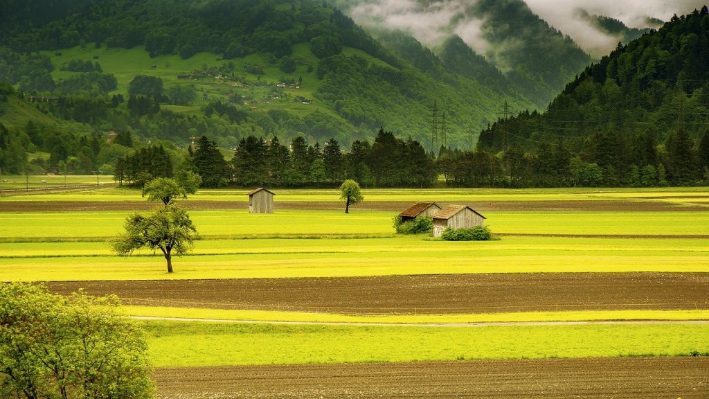 В России появится реестр земель сельскохозяйственного назначения 2 field, valley, landscape-176602.jpg