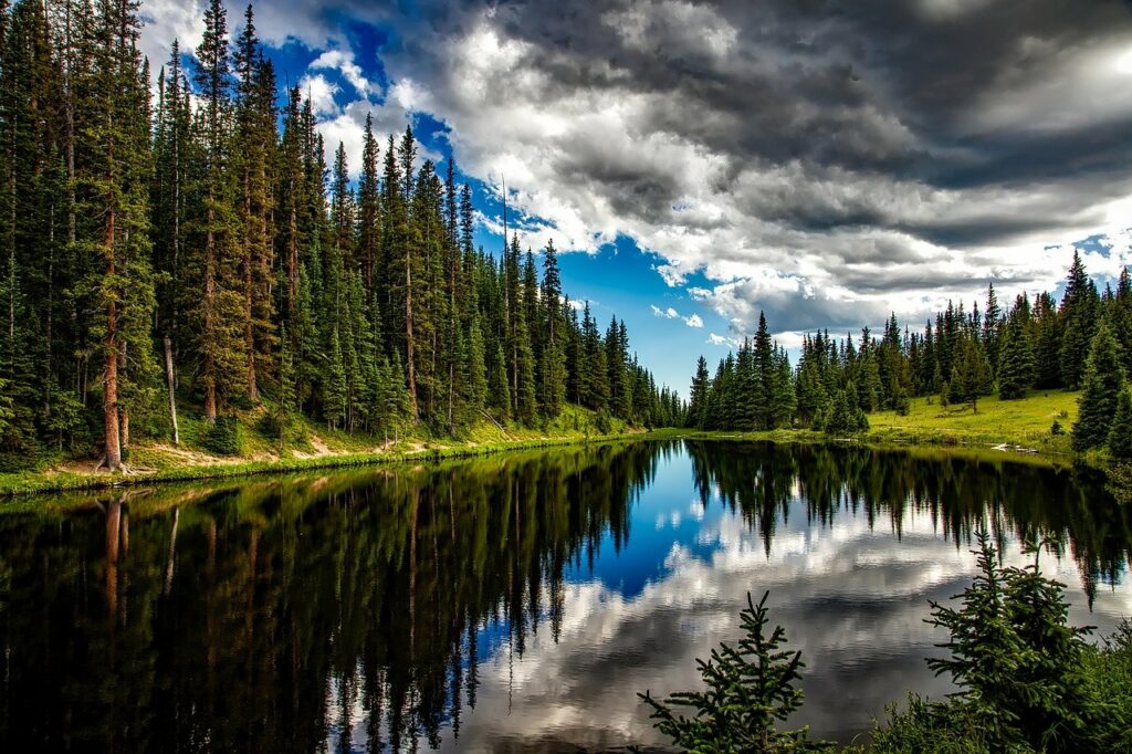 Утверждены новые Правила лесовосстановления 2 lake, conifers, clouds-1679708.jpg