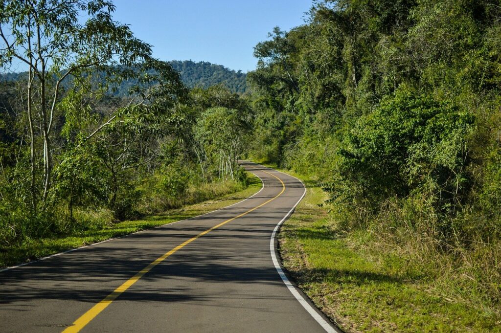 road, nature, travel-6774756.jpg