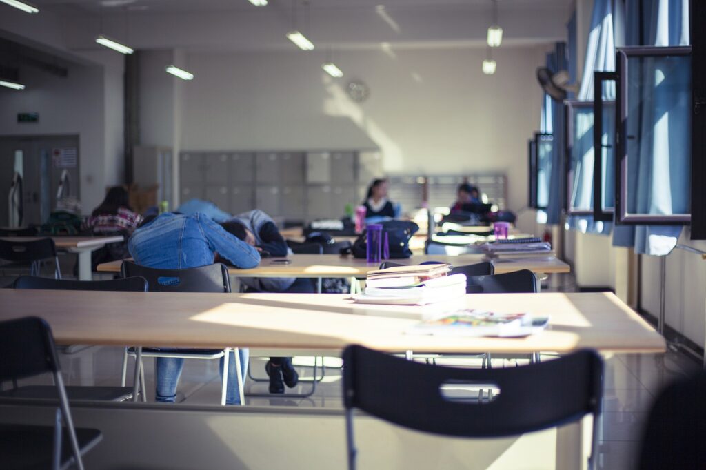 Администрация Владивостока проведет общественное обсуждение 5 study room, afternoon, learn-4926939.jpg