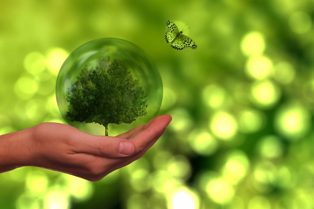 Экологическая отчетность организаций в 2022 году 4 tree, butterfly, globe-5725540.jpg