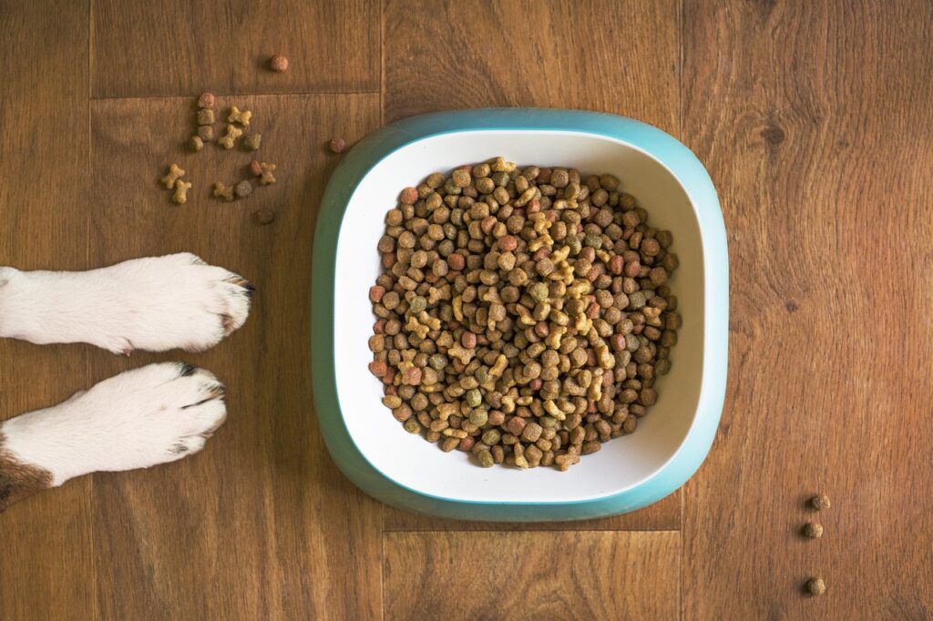 В Находке выделят средства на покупку корма для бездомных животных 3 dog food, dog bowl, dog kibble-5168940.jpg