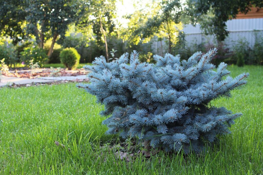 На благоустройство находкинских территорий направят больше средств 4 landscape design ged
