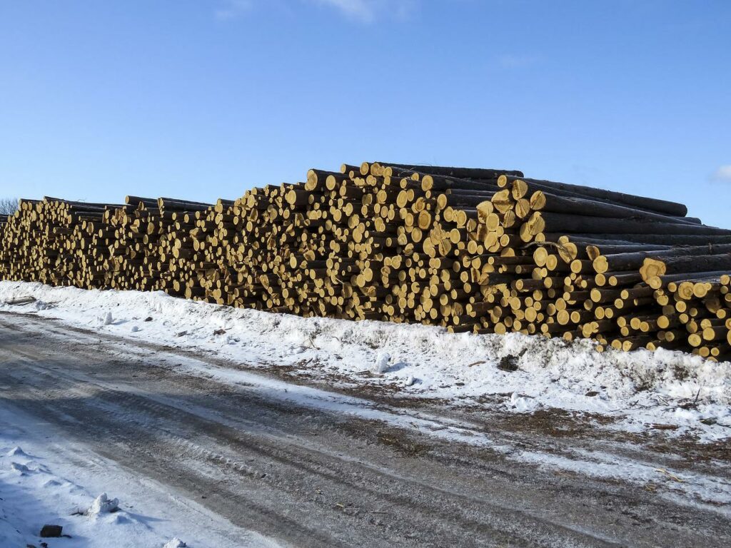 logs gdad
