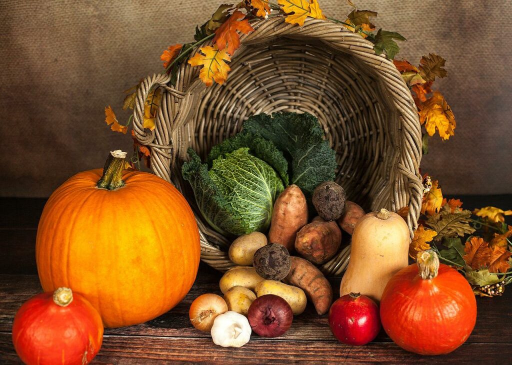 Регионы получат субсидии на увеличение производства картофеля и овощей 1 pumpkin gef