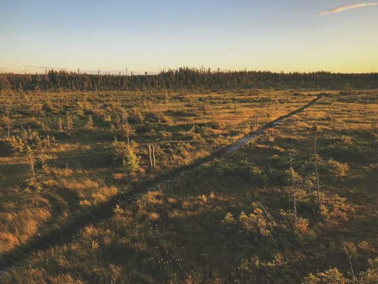 sigmund qowsdrdlrk unsplash