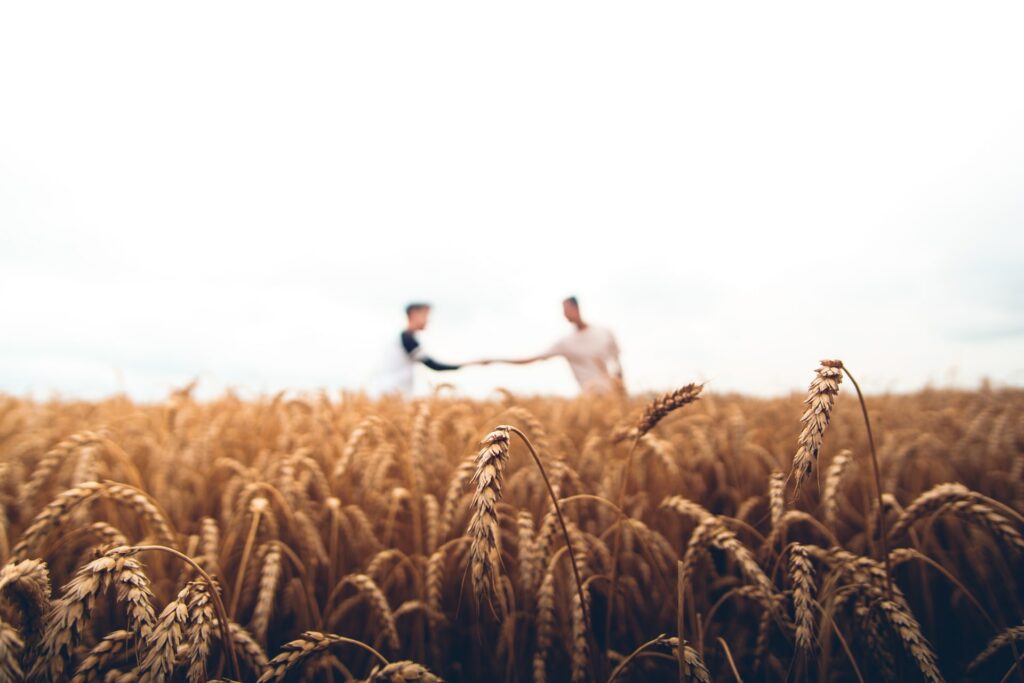 warren wong jqmcvra unsplash
