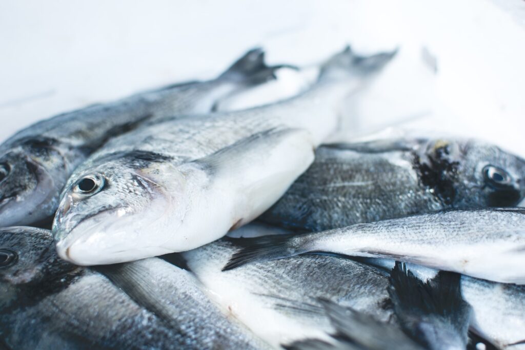 Минсельхоз: ветеринарно-санитарная экспертиза рыбы и рыбной продукции в момент передачи с добывающего судна на транспортное судно - не требуется 5 jakub kapusnak vlqzopdrsni unsplash