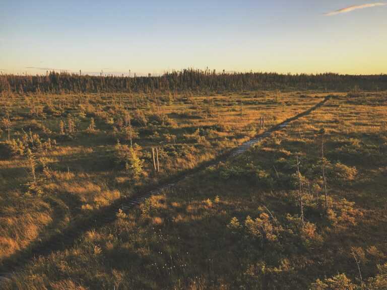 sigmund qowsdrdlrk unsplash