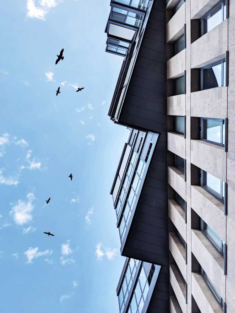 alexandr hovhannisyan oivvwdivmsk unsplash