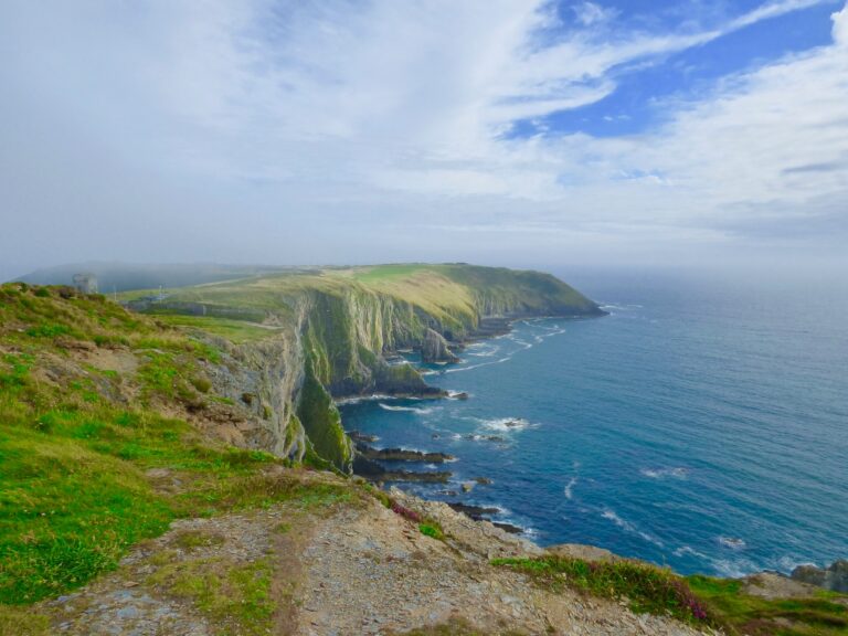 edelle bruton eplcegxm unsplash