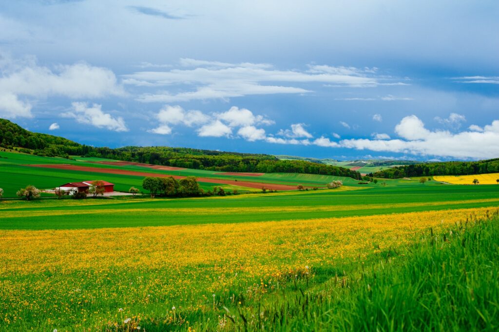 kris rae orlowski oaajstwwk unsplash