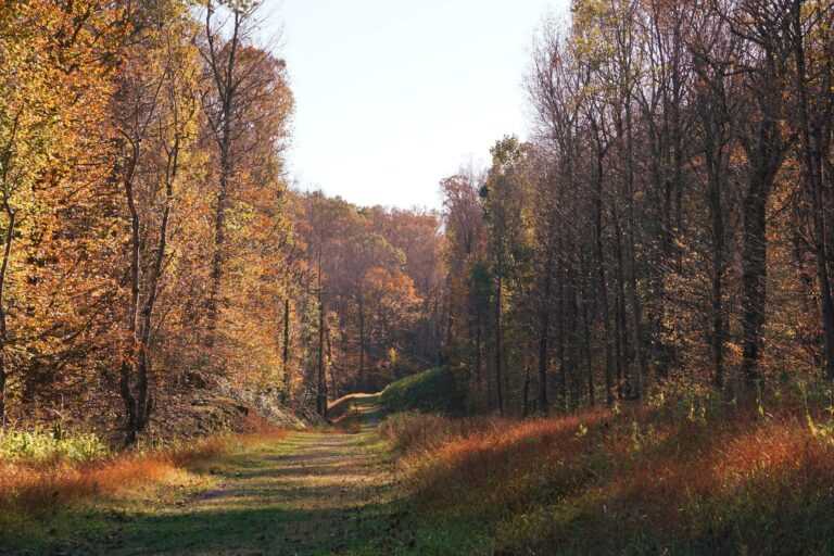 ian hutchinson fmqprinuw unsplash