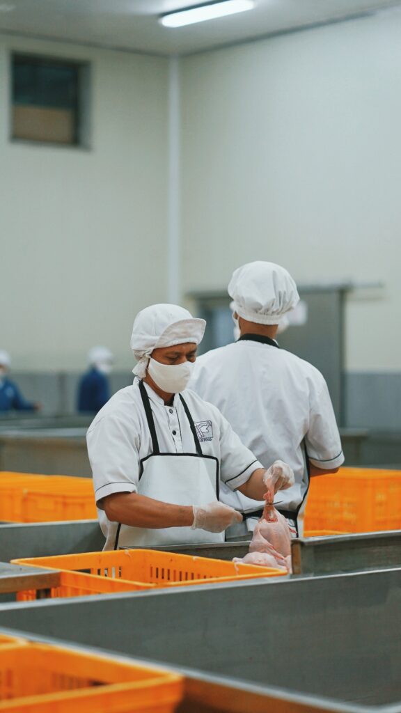 Правительство установило требования к обращению побочных продуктов животноводства 6 rendy novantino hnhqfrfcpq unsplash