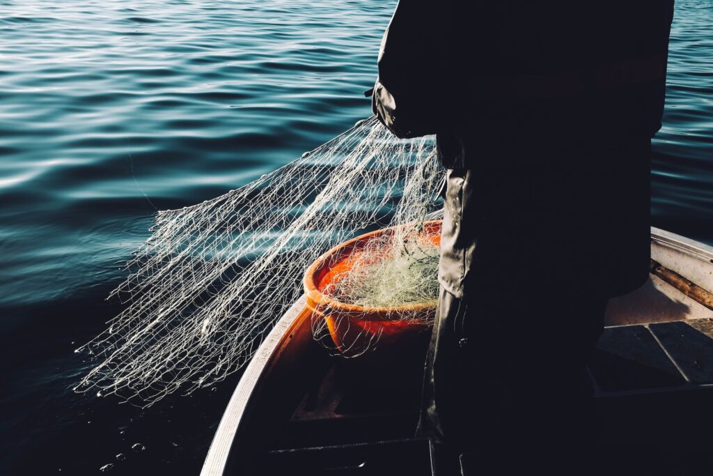 fredrik ohlander cbeaplsxxw unsplash