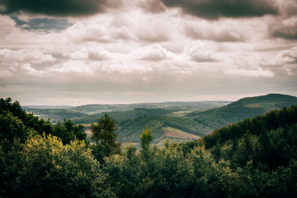 jonas jaeken ivsfmhjpg unsplash