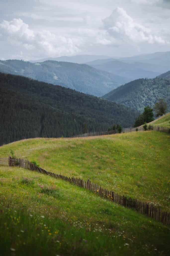 ciocan ciprian wzyzumxnr unsplash
