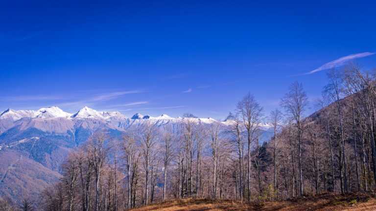 igor savelev bxlibllzy unsplash