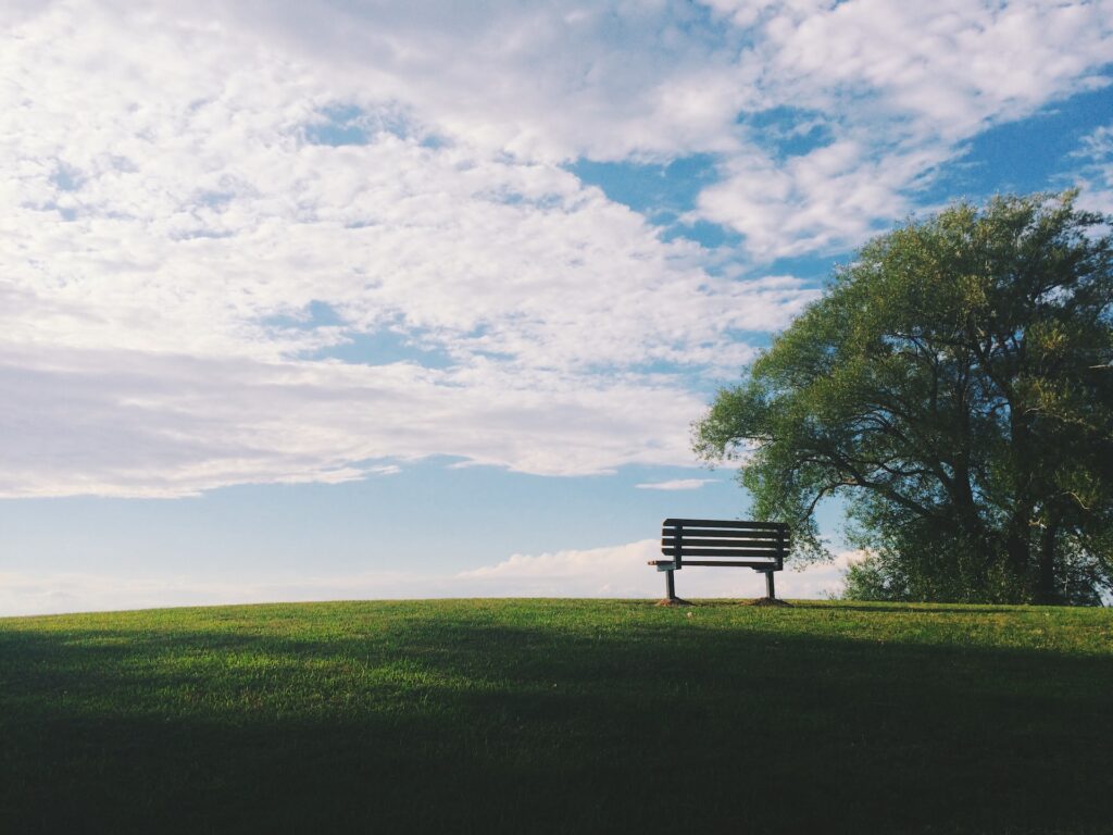 noah silliman ebbrcsjru unsplash