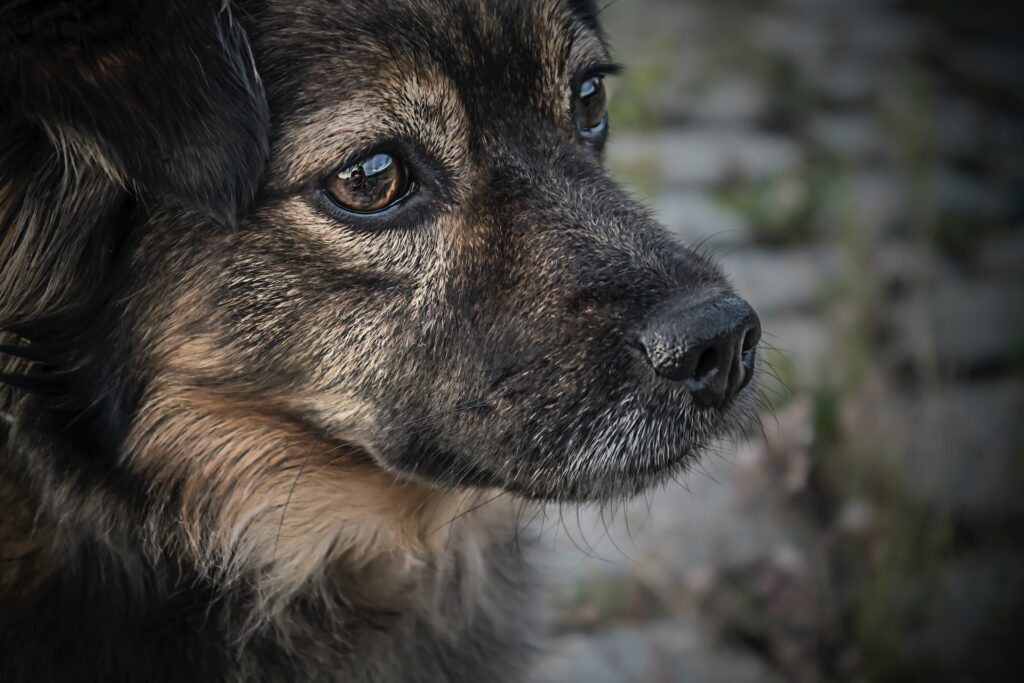 marek prygiel xearvnoo unsplash