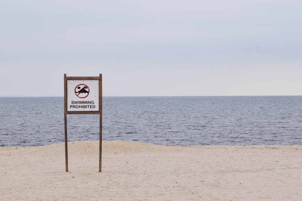 noah negishi yshveatxk unsplash