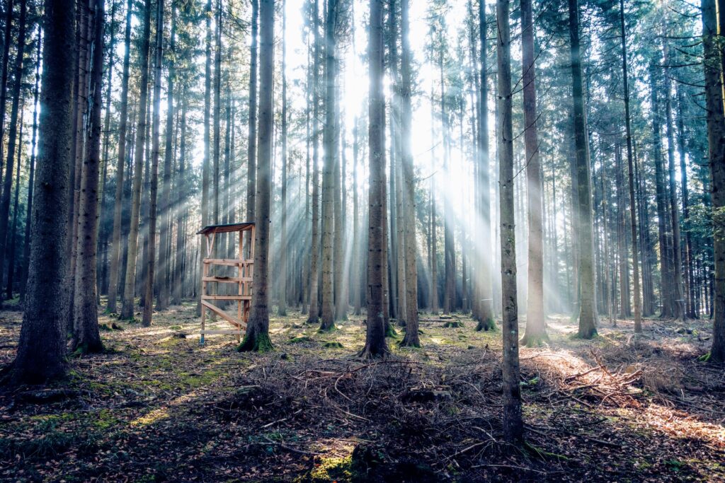 pascal debrunner pzomdiokppq unsplash