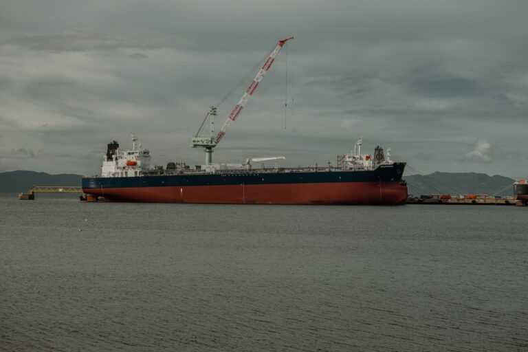 timur garifov tvnhucxpm unsplash