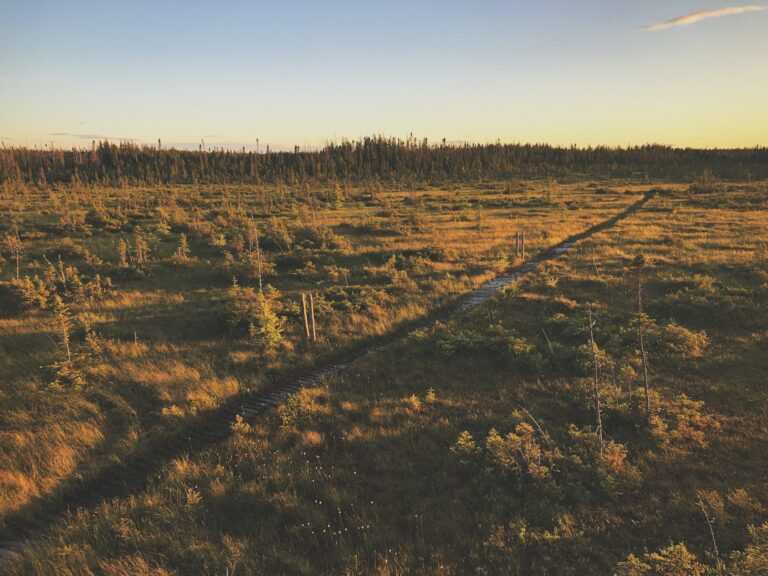 sigmund qowsdrdlrk unsplash