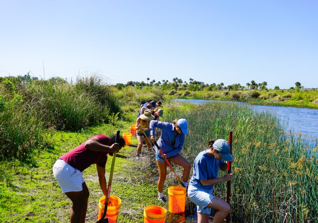 Волонтеры в случае причинения вреда здоровью получат компенсацию 4 the tampa bay estuary program CxLJ aME unsplash