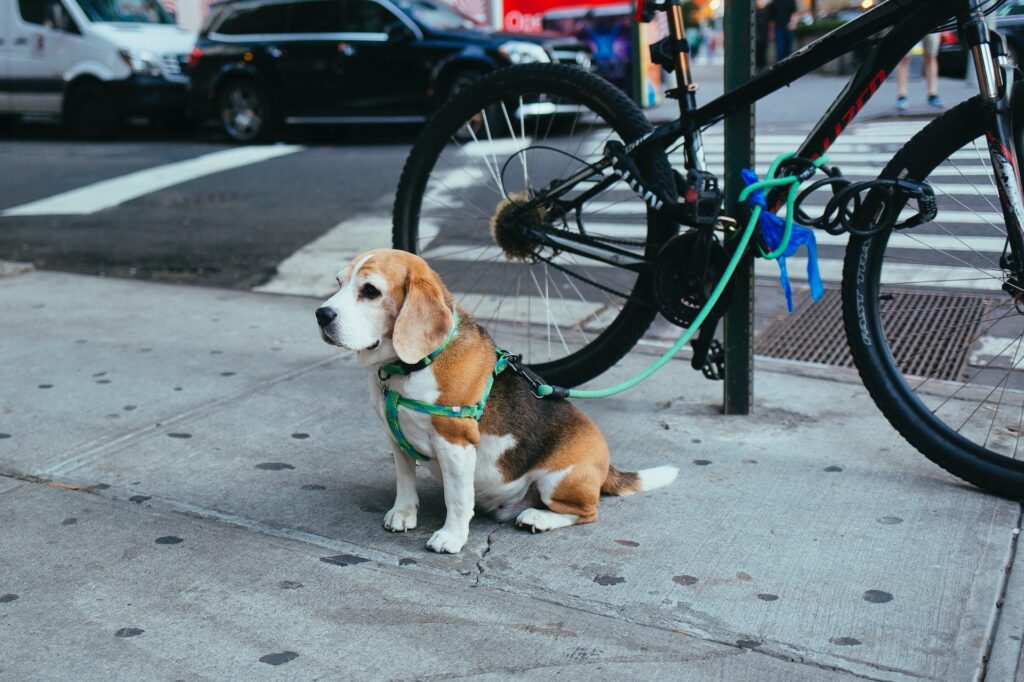 xNOslF U unsplash